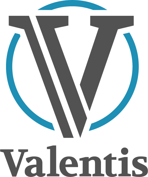 Valentis Security Services